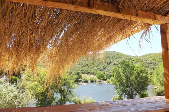 lac-des-olivettes-vu-depuis-la-paillote-du-parking