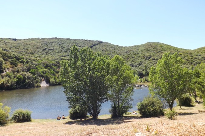 le-lac-de-vailhan-olivettes-cote-parking-paillote