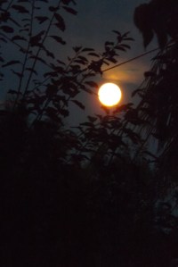 pleine-lune
