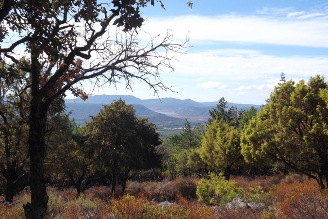 vue-depuis-la-table-sacrificielle-du-prieure-de-sst-michel-de-grandmont