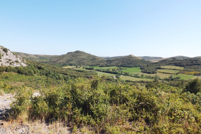 vue-sur-la-campagne-autour-de-vailhan