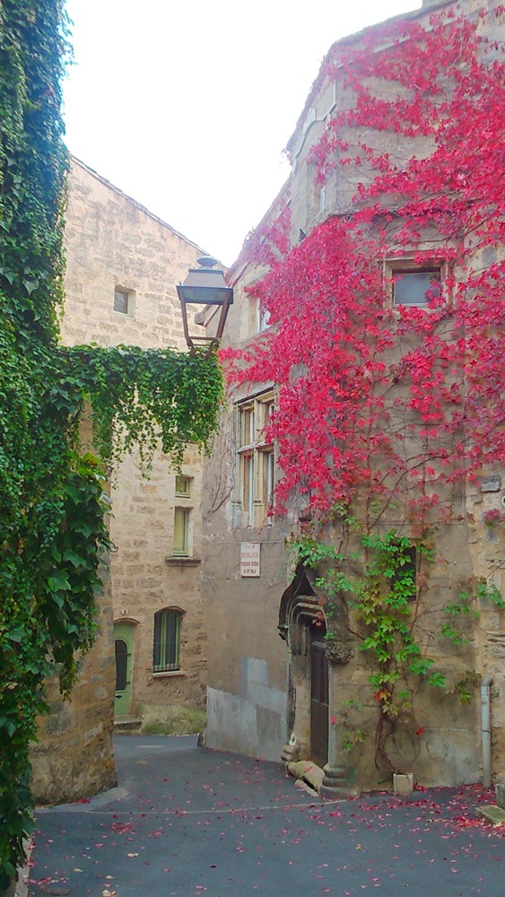 pezenas-2
