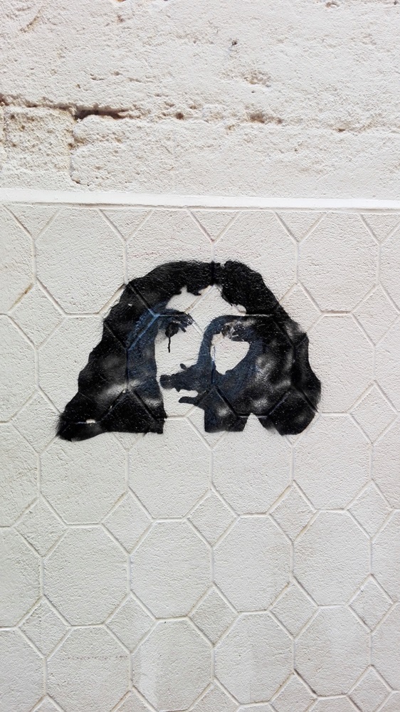 moliere graphe in pezenas