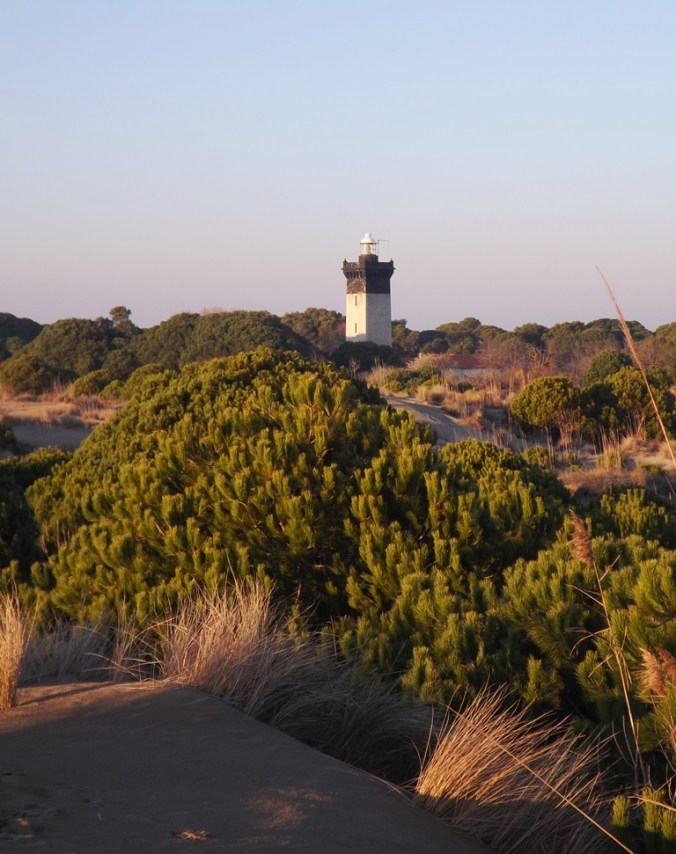 massif-dunaire-et-phare-espiguette