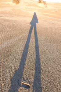 ombre-isa-plage-espiguette