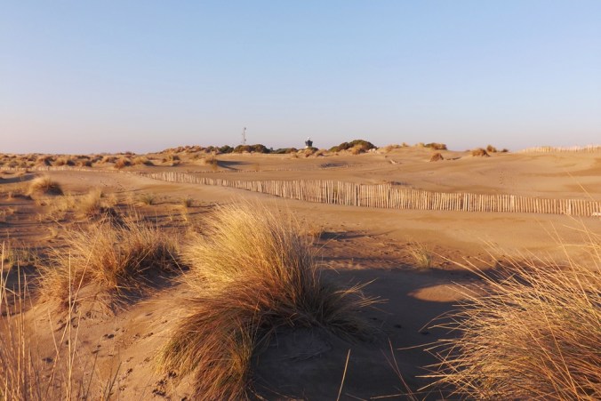 phare-espiguette-au-loin