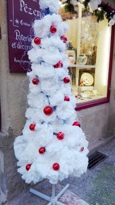 sapin-blanc