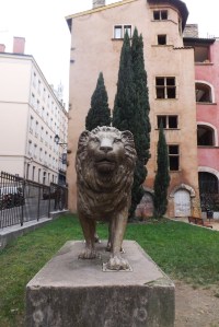 lion-a-lyon